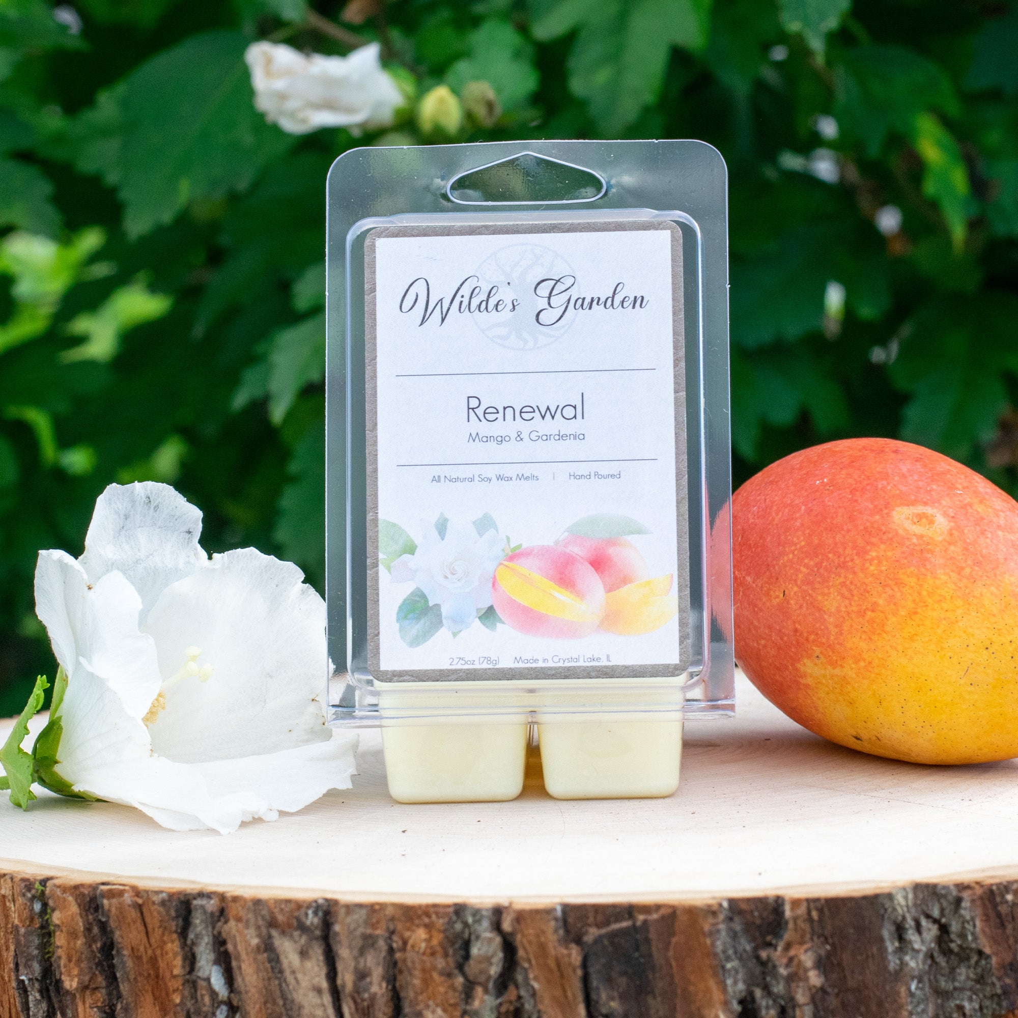 gel  wax cake kiwi ※アロマワックス gel wax cake kiwi ※アロマワックス