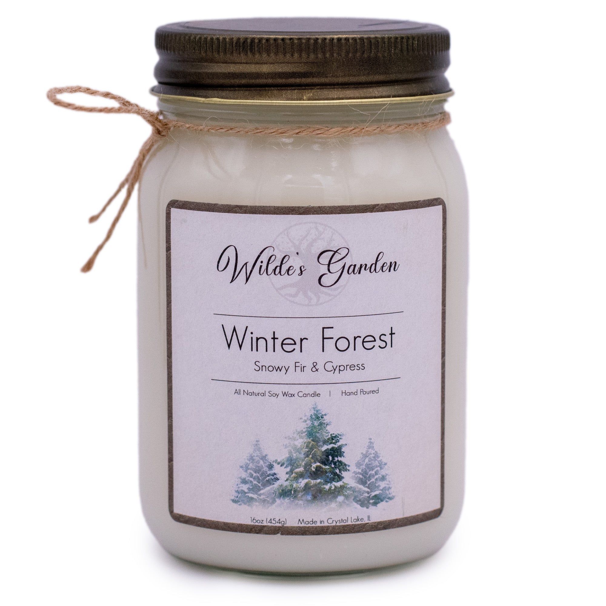 Winter Collection 16 oz. Mason Jar Candle