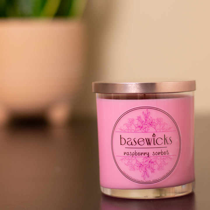 Raspberry Sorbet, Soy Wax Candle, Sweet Raspberry Scented, 12oz, House Plant Lifestyle Photo