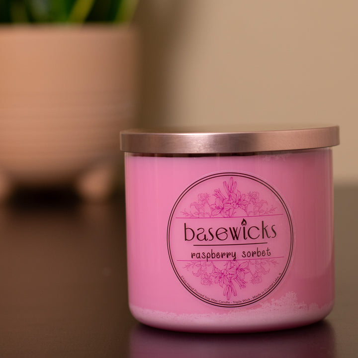 Raspberry Sorbet, Soy Wax Candle, Sweet Raspberry Scented, 21oz, House Plant Lifestyle Photo