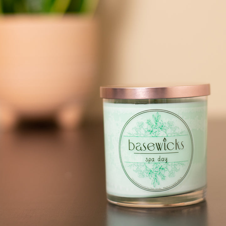 Spa Day, Soy Wax Candle, Eucalyptus & Peppermint Scented, 12oz, House Plant Lifestyle Photo