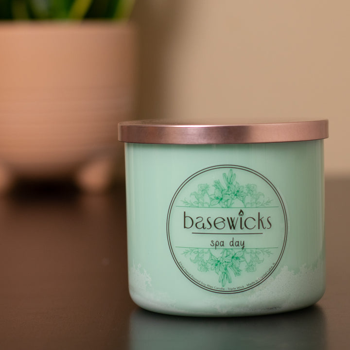 Spa Day, Soy Wax Candle, Eucalyptus & Peppermint Scented, 21oz, House Plant Lifestyle Photo